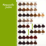 JJ PERMANENT - Wegański Krem Koloryzujący 100ml