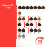 JJ 10 MINUTES - Wegański Krem Koloryzujący 100ml